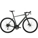 Bicicletă TREK Domane AL 2 Gen 4 58 Matte Lithium Grey 5301349 foto 1